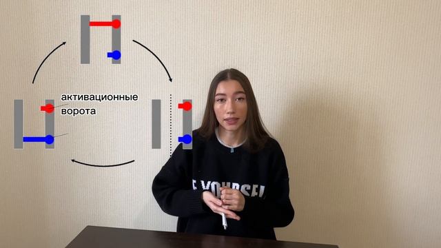Мембранный потенциал покоя. Потенциал действия смотреть онлайн