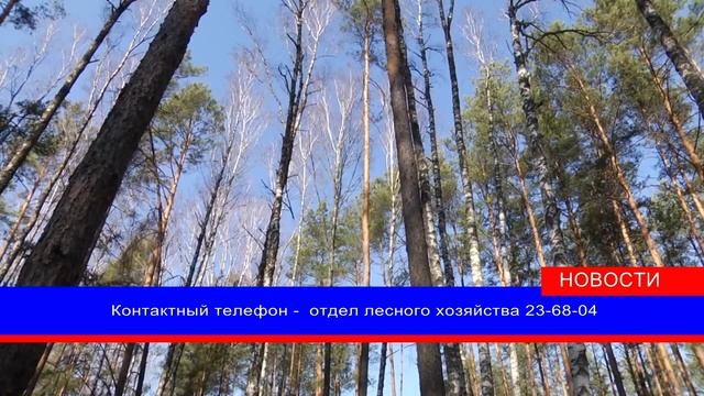 Как Сделать с Заботой