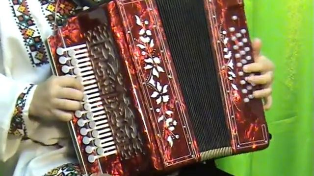 Гармонист Алексеев Егор Ой калина Золотое кольцо ИГРАЙ ГАРМОНЬ НЕВСКАЯ любимая 480p