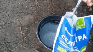 СРОЧНО ПОДКОРМИТЕ  Первая подкормка КЛУБНИКИ весной