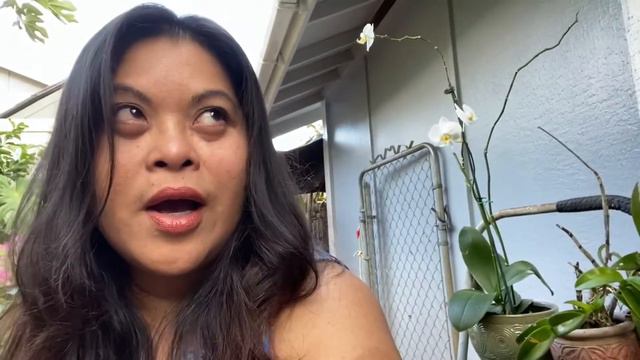 Mga Bagay na Dapat Tandaan bago bumili ng Orchids | Points to consider before buying an Orchid смотреть онлайн
