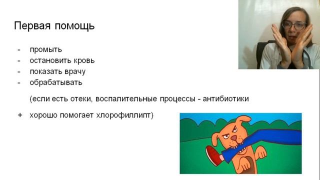 укусила собака? Особенности лечения ран? Что делать дальше: особенности лечения часть 2 смотреть онлайн
