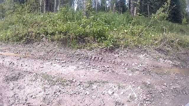 Гора Барсук 11.05.2020 смотреть онлайн