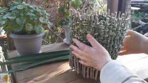 Поделки из листьев юкки. Кашпо и шарики.