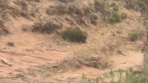 5 мощных селей снятых на камеру