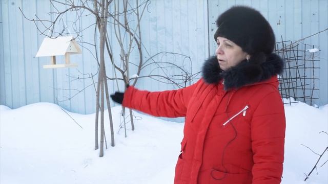 Вредные и полезные птицы на дачном участке ☘ Как привлечь птиц на свой участок смотреть онлайн