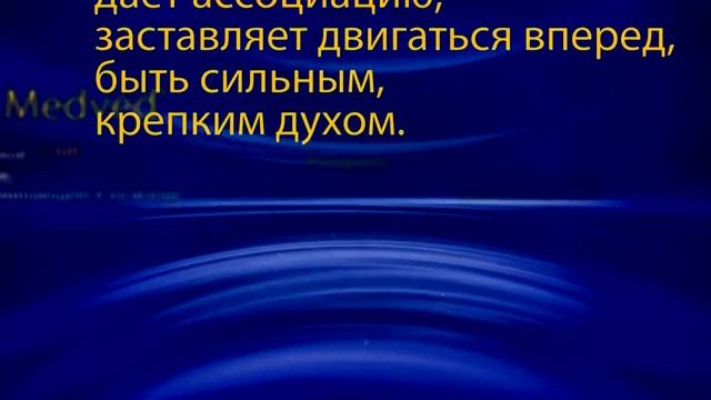 Kairos главный партнер Команды Prosperity Club Medved' смотреть онлайн