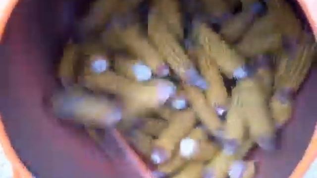 Обмолот кукурузы в бетономешалке смотреть онлайн