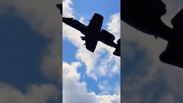 Tank killer A-10 Warthog #shorts #epic #crazy смотреть онлайн