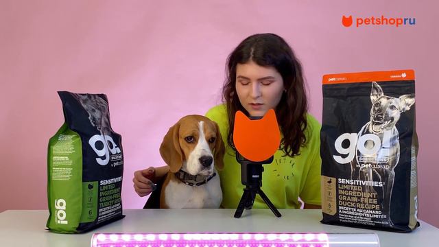 АСМР СОБАКА ЕСТ ХРУСТЯЩИЙ СУХОЙ КОРМ / ASMR Dog eating crispy dry food смотреть онлайн
