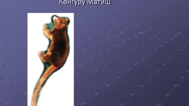 Презентация Государственный Дарвиновский музей смотреть онлайн