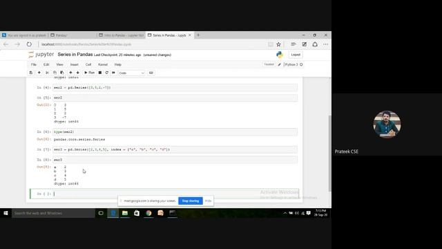 Installing Pandas Library: Working with Series in Python смотреть онлайн