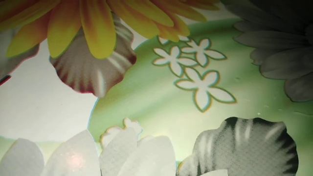 Черенки поставила на укоренение / укорененные черенки/ развитие/