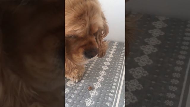 Массажик для Ляли. смотреть онлайн