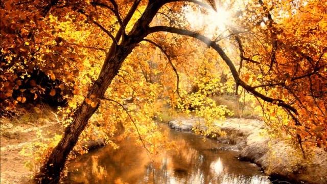 Один день Осени. One autumn day. Музыка высоких вибраций смотреть онлайн