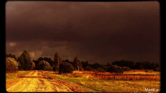 В поле травы (Иллет)