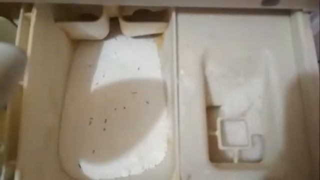 ЛАЙФХАК//КАК СТИРАТЬ МАХРОВЫЕ ВЕЩИ смотреть онлайн