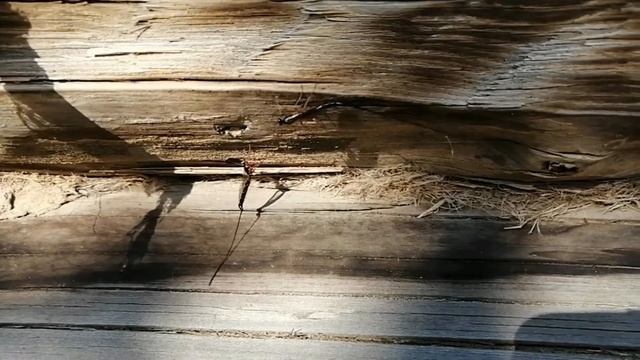 Эфиальт-император (начало бурения) смотреть онлайн