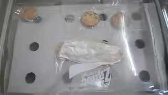 Selladora al Vacio DZQ-400 смотреть онлайн