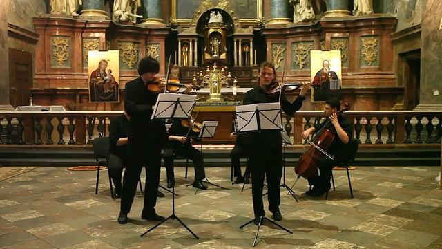 J.S. Bach - Double concerto 3/3 - Smovzh, Zavgorodnii, Phoenix String Quartet смотреть онлайн
