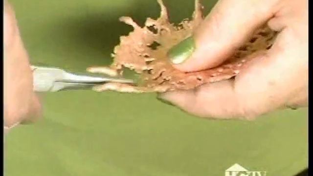 Jaime Frechette on That's Clever - Part 2: Drop-cast 'Splatter' Bowl смотреть онлайн