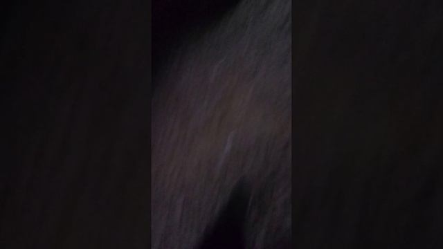 четвёртая часть я остался один призываю Слендермена смотреть онлайн