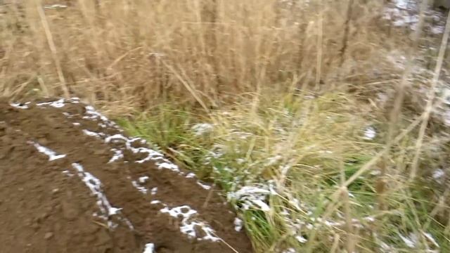 Война с соседями смотреть онлайн