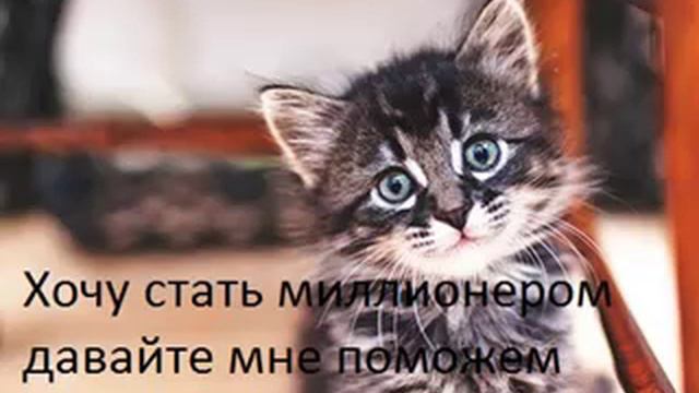 Хочу стать миллионером смотреть онлайн