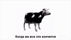 Польская корова перевод