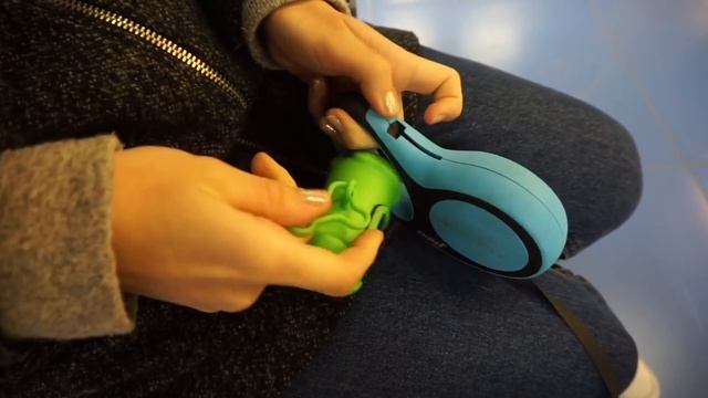 МонаВлог: зоомагазин, Тихон Ши-Тцу и многое другое ✌️ смотреть онлайн