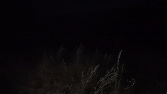 Жуткий поход в лес! нас что то преследовало?? первая серия))) смотреть онлайн