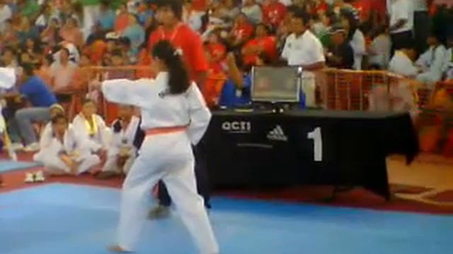 COPA CHIAPAS 2013 "ANA PAULINA" FORMA1 INST. AMERICANO TKD смотреть онлайн