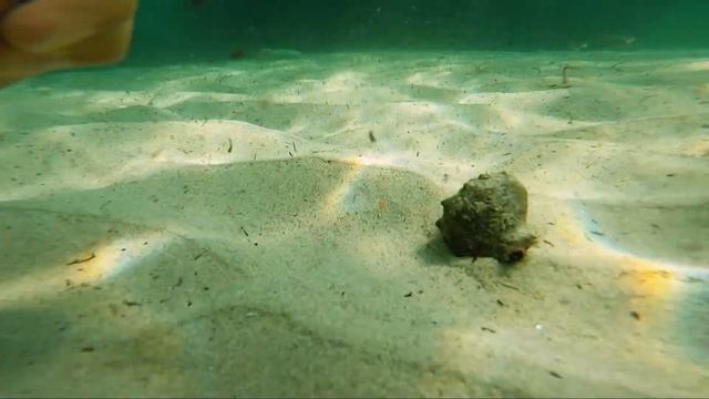 Crimea / Крым 2021 DJI mavic air 2 смотреть онлайн