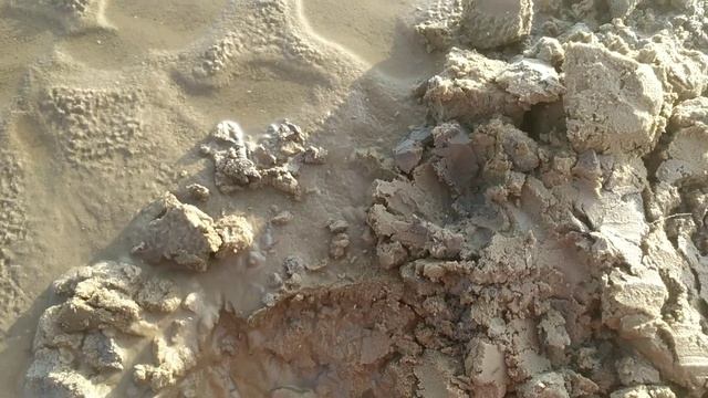 Раскопки на затопленном селе?? смотреть онлайн