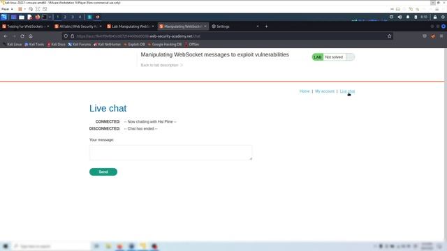 Lab: Manipulating WebSocket messages to exploit vulnerabilities смотреть онлайн