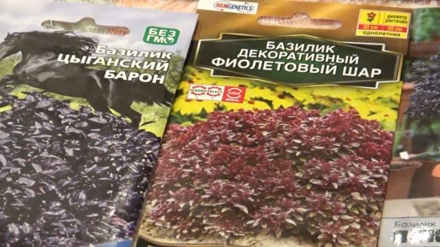 Базилик  Новинки  Обзор сортов