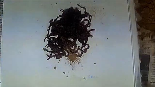 как разбить мотыля смотреть онлайн