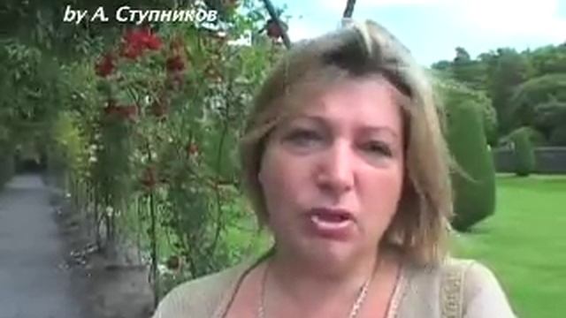 Швеция и русские