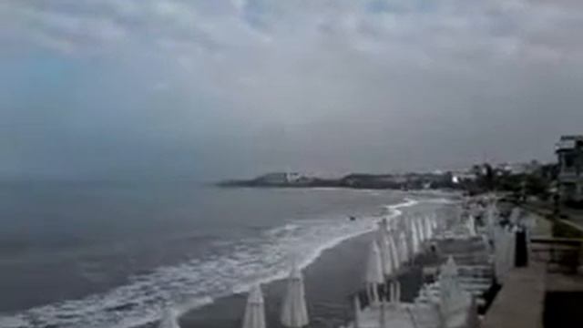 Как собаки в море купались Животные резвились Турция море Сиде смотреть онлайн