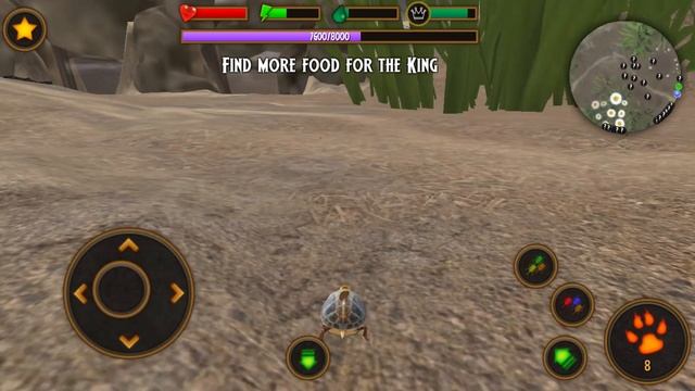 Animal Planet Gaming - Box Turtle Simulator Android Gameplay смотреть онлайн