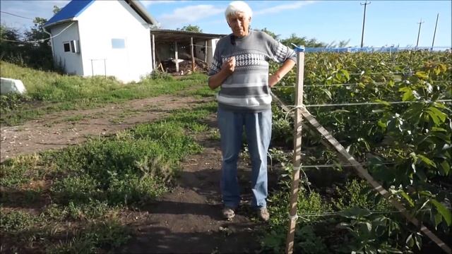 СРОЧНО!!! Опасность поражения белезнями смотреть онлайн