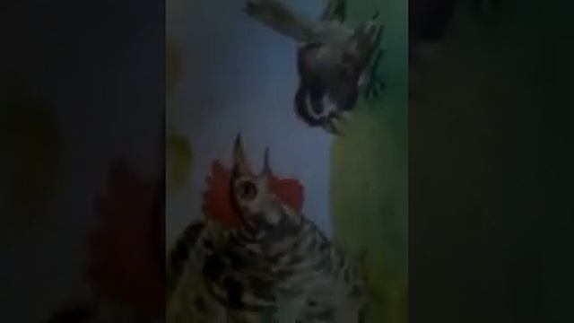 Сказка на ночь, сама придумала! На ночь ! Мисс Альбина❤