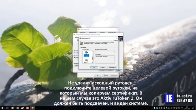 Копирование сертификата ЭЦП смотреть онлайн