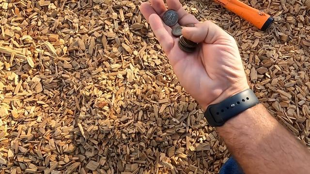 Metal Detecting With The Tesoro Compadre Metal Detector