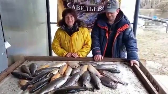 Форелевая рыбалка в Братовщине. смотреть онлайн