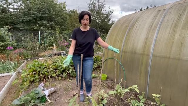 Кулинарные шедевры с Ириной