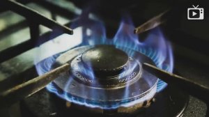 Монументальная катастрофа, Кокосовая шобла, Недоразвитые безбожники __ Галопом п