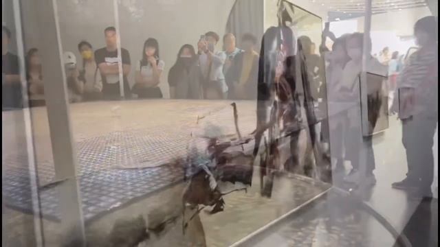 Taipei Contemporary Art Fair Taipei Nangang Exhibition Center from May 12th to 14th, 2023 смотреть онлайн