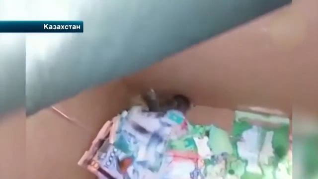 Банкомат обокрали не вскрывая. смотреть онлайн