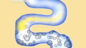 эспумизан реклама 2010